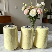 Filament de Para-Aramide 1414 à Haute Ténacité pour Tissu Filtrant Industriel Ignifuge
