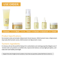 Kit de Soins du Visage Bio au Curcuma à Base de Plantes, Marque Blanche, Nourrissant et Éclaircissant pour Femmes