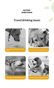 Bouteille d'<span class=keywords><strong>eau</strong></span> portable pour chien avec bol, distributeur d'<span class=keywords><strong>eau</strong></span> <span class=keywords><strong>de</strong></span> voyage pour animaux <span class=keywords><strong>de</strong></span> compagnie à un bouton, anti-fuite, sans BPA, PP+PC, détachable, facile à nettoyer - Product Image 6