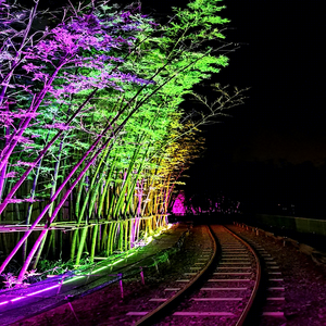 Luz de Color para Paisajismo, para Árboles, Jardines, Fachadas de Edificios, Parques, Resorts y Proyectos de Iluminación Comercial para Exteriores - Product Image 1