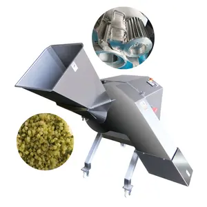 3 Ton per Hour Fruit and Vegetable Potato Dicing Machine Squash Cucumber Dicer Cutter Machine Manufacturer