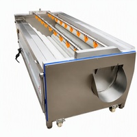 Aardappel Wortels Cassave Dadels Borstel Schil- en wasmachine Cassavehuid Gember Aardappelschil Wasmachine Schilmachine Wasmachine