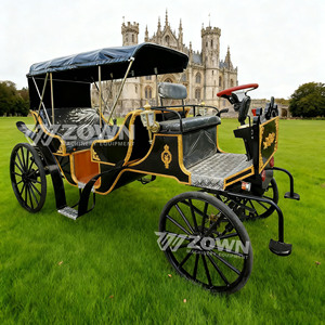 Vintage Royal Victorian Tourism Sightseeing Royal Horse Carriage Luxury Royal Horse Carriage Cart Electric <b>Princess</b> Wedding - Product Image 3