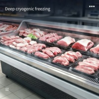 Lemari Display Daging Segar Komersial untuk Penggunaan di Dapur Katering dengan MOQ 1 PCS Penjualan Langsung Pabrik