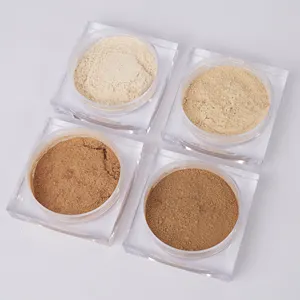 OEM 10 Colors Super Fine Powder Conceal Pores Oil Control Setting Powder Private Label