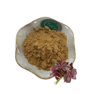 コッシャー無料サンプルペリラフルテセンエキス粉末10:1ペリラリーフエキス - Product Image 1