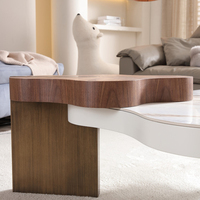 Ensemble Table Basse Créative et Tendance, Salon Moderne Simple, Table Basse Irrégulière Italienne pour Petit Appartement en Bois Massif