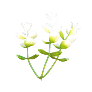 Bouquets de feuilles d'eucalyptus artificielles Wen Hope, blanc et vert, 10 cm-30 cm, décorations murales de mariage, base en plastique, fleurs - Product Image 5