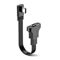 Câble d'extension Type-C USB 3.1 mâle vers femelle 10 Gbps avec trous de fixation pour données et charge sécurisées, câble en silicone