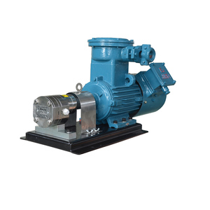 Bomba de engranajes de acero inoxidable de alta magnetización sin desplazamiento, con motor de prueba o motor de frecuencia, fabricada en China - Product Image 5