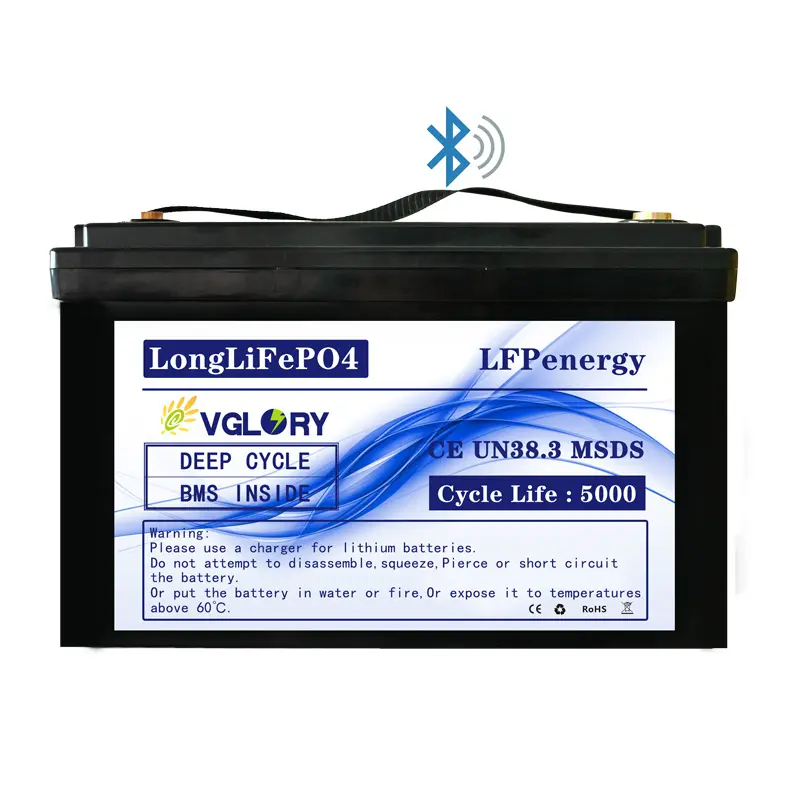 Pin Dự Trữ Năng Lượng Mặt Trời 12 Volt 24 Volt 24 V 12.8V 12 V 100 Amp Hour Pin Lithium 100ah 150ah 200ah 300ah Lifepo4