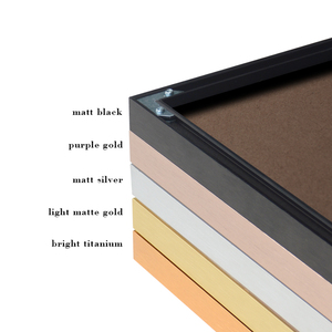 5 couleurs A1 A2 A3 A4 8X10 11X14 pouces métal <span class=keywords><strong>aluminium</strong></span> <span class=keywords><strong>cadre</strong></span> <span class=keywords><strong>photo</strong></span> certificat <span class=keywords><strong>cadre</strong></span> avec verre ou plexiglas - Product Image 4
