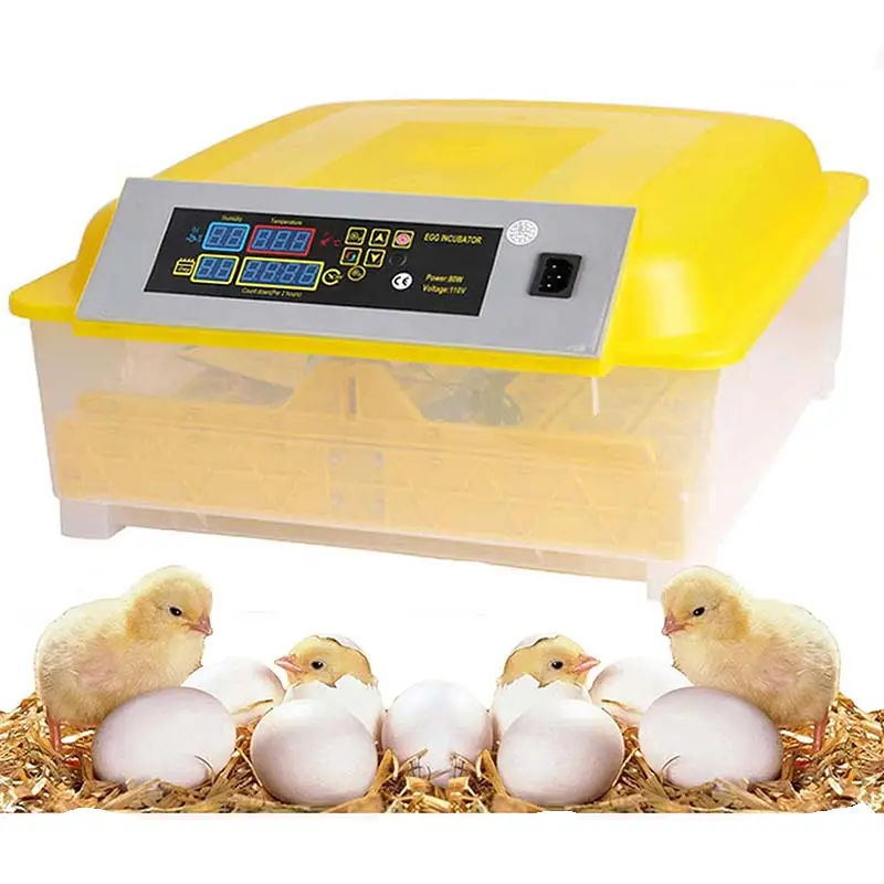 48 Ei transparenter Inkubator Clear Chicken Poultry Bird Hatcher Brut maschine