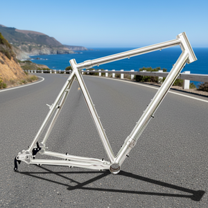 Cuadro de Bicicleta de Titanio 700C OEM en Oferta con Diseño de Acopladores S&S, Transmisión por Correa, Desviador <span class=keywords><strong>Rohloff</strong></span> y Patillas Deslizantes para Ciclismo de Gravel - Product Image 1