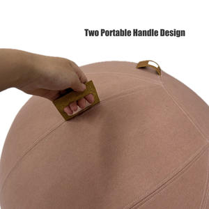 Housse <span class=keywords><strong>de</strong></span> protection pour <span class=keywords><strong>ballon</strong></span> <span class=keywords><strong>de</strong></span> yoga pour <span class=keywords><strong>ballon</strong></span> <span class=keywords><strong>de</strong></span> <span class=keywords><strong>gymnastique</strong></span>, diamètre <span class=keywords><strong>de</strong></span> <span class=keywords><strong>65</strong></span> <span class=keywords><strong>cm</strong></span>, couvercle <span class=keywords><strong>de</strong></span> <span class=keywords><strong>ballon</strong></span> d'équilibre - Product Image 3