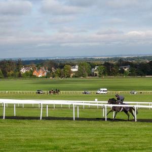 XUYA çin fabrika UV dayanıklı PVC at çit dört raylar tasarım çiftlik sürme Arena ve at bahçesinde uygulama - Product Image 5