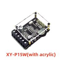 Module d'amplificateur stéréo numérique XY-P15W 10W/15W/20W 12V/24V haute puissance