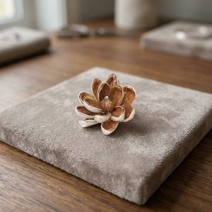 Wholesale 8 CM Sola Wood White Environmental Friendly Indoor Flowers <b>Reed</b> <b>Diffuser</b> Home Decor Bulk DIY Thailand Wedding Party - Product Image 2