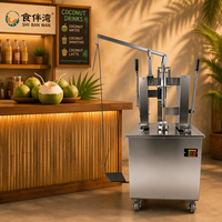 Handmatige diamantgroene kokosnootschiller, niet-elektrische fruitsnijder voor eco-toerisme, resort, drankenbar, platform