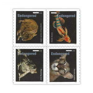 Rotolo <span class=keywords><strong>di</strong></span> Etichette Adesive Forever da 100 Pezzi con Bandiera USA 2025, Adesivi Vintage Postali USA, Rotolo <span class=keywords><strong>di</strong></span> Etichette Adesive Internazionali Canada - Product Image 1