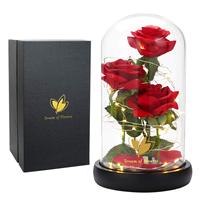 Roses éternelles Galaxy Flower faites à la main pour la Saint-Valentin, avec mode d'éclairage, feuille d'or colorée, dôme en plastique enchanté, naturelles et véritables