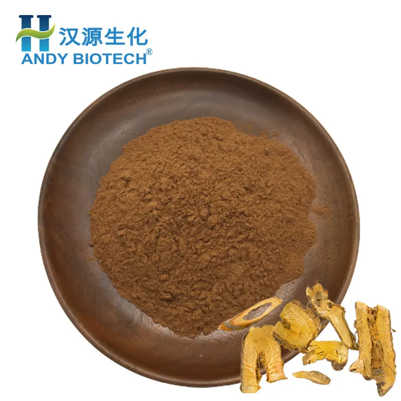 Đánh giá cao polygonum cuspidatum chiết xuất khổng lồ knotweed chiết xuất 50% Resveratrol bột