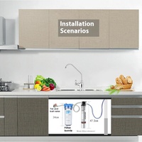 Purificateur d'eau manuel Everpure ESO6 pour la cuisine domestique, filtre pour robinet, pour une consommation directe, élimine les minéraux et le calcaire