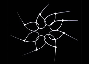 روابط كابلات بلاستيكية من السيليكون بسعر المصنع مع رمز النظام المنسق - Product Image 5