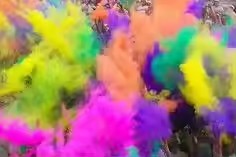 Género Reveal Rainbow Running Festival MSDS Certificación Cornstarch Color Run Color Holi Powder - Product Image 5
