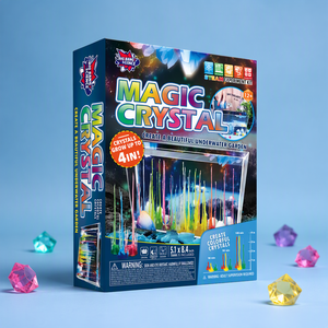 Kit <span class=keywords><strong>de</strong></span> Aprendizaje ODM/OEM <span class=keywords><strong>de</strong></span> BIG BANG SCIENCE, Fabricante <span class=keywords><strong>de</strong></span> Kits para Cultivar Cristales Grandes, Kit <span class=keywords><strong>de</strong></span> Enseñanza para Proyectos <span class=keywords><strong>de</strong></span> Química Escolar - Product Image 1
