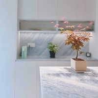 Blauer Kristallmarmor Gebürstet Wasserdichter Naturstein für Moderne Luxus-Badezimmer Küchen & Villen