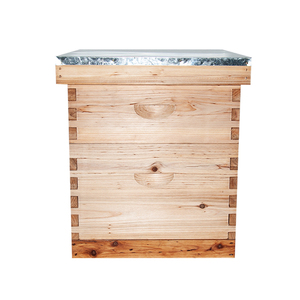 Bán Chạy 2 Lớp 10 Khung Gỗ <span class=keywords><strong>Langstroth</strong></span> Tổ Ong Hoàn Chỉnh Cho Ong - Product Image 3