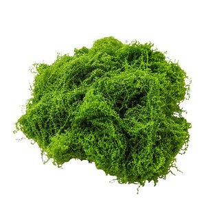 LUYI - Musgo Verde <span class=keywords><strong>Artificial</strong></span> en Maceta, Musgo Sphagnum, Turba de Musgo, Decoración de Pared para Oficina, Venta al por Mayor - Product Image 1