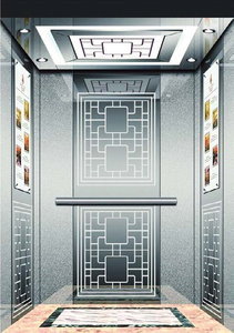 Ascenseur Privé Personnalisé Poids 400 Kg/500 Kg/600 Kg Type de Traction Ascenseur Domestique Électrique Ascenseur Passagers Villa - Product Image 2