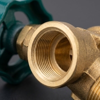 Robinet d'angle en laiton de haute qualité, performance d'étanchéité élevée, robinet à gaz V-5C pour utilisation industrielle par les fabricants de bouteilles de GPL