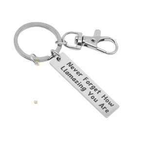 Llavero Inspirador de Alpaca: Nunca olvides cuánto eres increíble. Llaveros de acero inoxidable con diseño de llama motivacional. - Product Image 1