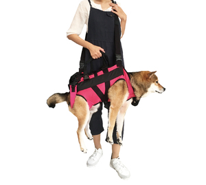 Ayuda para Perros Mayores con Problemas de Movilidad, con Luces, 100% Algodón, Talla L - Product Image 5