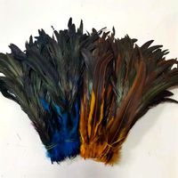 Plumes de queue de coq teintes de haute qualité, plumes de poulet colorées de 15 à 45 cm pour les décorations de carnaval et la couture de vêtements