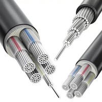 Yvv-Sm 0,6/1 KV Niederspannungs-PVC-Isoliertes SEKTORFÖRMIGES D-Kabel Reines Kupfer Nyy-Sm Stromübertragungskabel