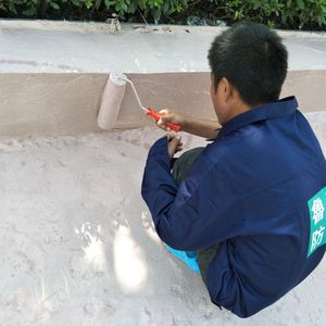 Modern Self-Repairing Polymer Liquid <b>Waterproof</b> Coating Leak-stop for Warehouse Exterior <b>Wall</b> Tile Use-Eco-Friendly 5 Year - Product Image 2