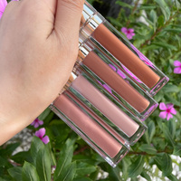 Oem low quantité minimale de commande dropshipping vendeurs cosmétiques brillant biologique parfumé brillant à lèvres marque privée