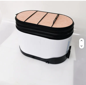 Dz97259191047 सिंनोट्रूक शेकमैन के लिए एयर फिल्टर, वीप13.500e62 इंजन के लिए प्रतिस्थापन - Product Image 6