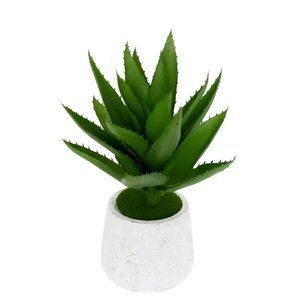 Adorno de mesa de plantas suculentas artificiales grandes en maceta de <span class=keywords><strong>aloe</strong></span> <span class=keywords><strong>vera</strong></span> - Product Image 2
