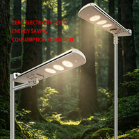 Lampu Jalan Tenaga Surya LED Anti-Penuaan dengan Casing Baja Tahan Karat & Sensor Gerak Tahan Hujan, CRI Tinggi 90 untuk Penerangan Jalan di Lapangan & Taman