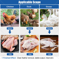 Matériel d'abattage compact ORME pour volailles (cailles, canards, oies, poulets) à petite échelle, avec cuve de bain, à vendre