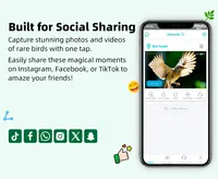 Mangeoire intelligente en bois naturel AI identifie plus de 10000 oiseaux et détection de mouvement Observation des oiseaux en temps réel alimentée par un panneau solaire