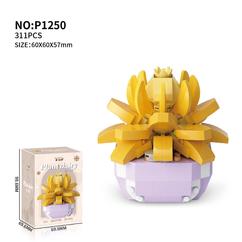 Les étoiles et la lune brillent