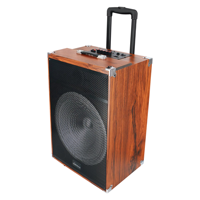 Système de haut-parleurs sans fil BT audio rétro en bois de 15 pouces avec subwoofer de grande puissance, haut-parleur trolley professionnel d'usine
