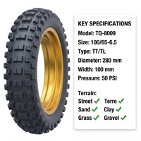 Neumático para Scooter Eléctrico Golden Scorpion TQ-8009 100/65-6.5, 11 Pulgadas de Ancho, Tipo Tubo Grueso, Neumático de Vacío con Capa de Revestimiento Interno Dualtron