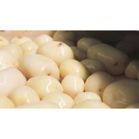 Poudre de pomme de terre séchée AD de qualité supérieure : Purée de pomme de terre en vrac pour les collations et la pâtisserie, Approvisionnement direct usine